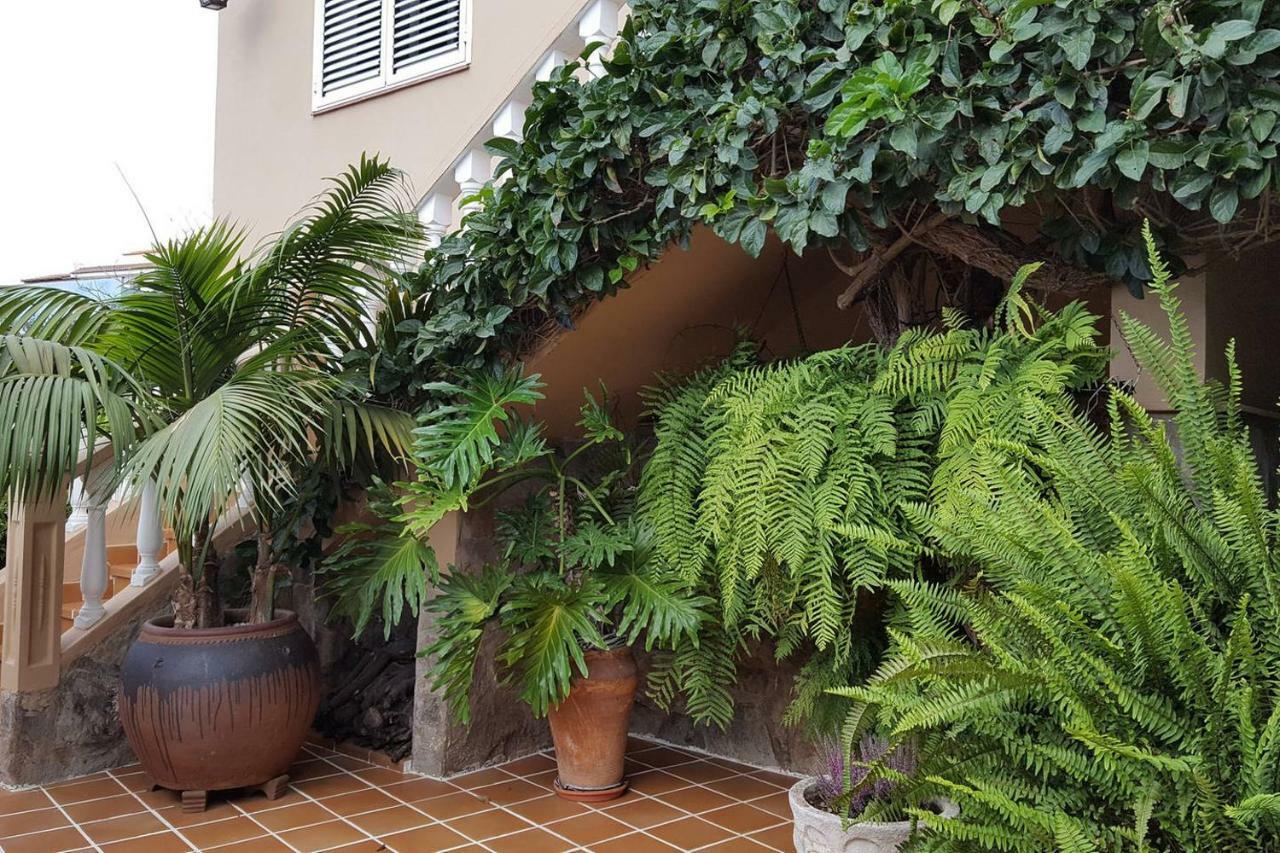 Villa Orotava Garden House Perfect For Families La Orotava Exterior foto