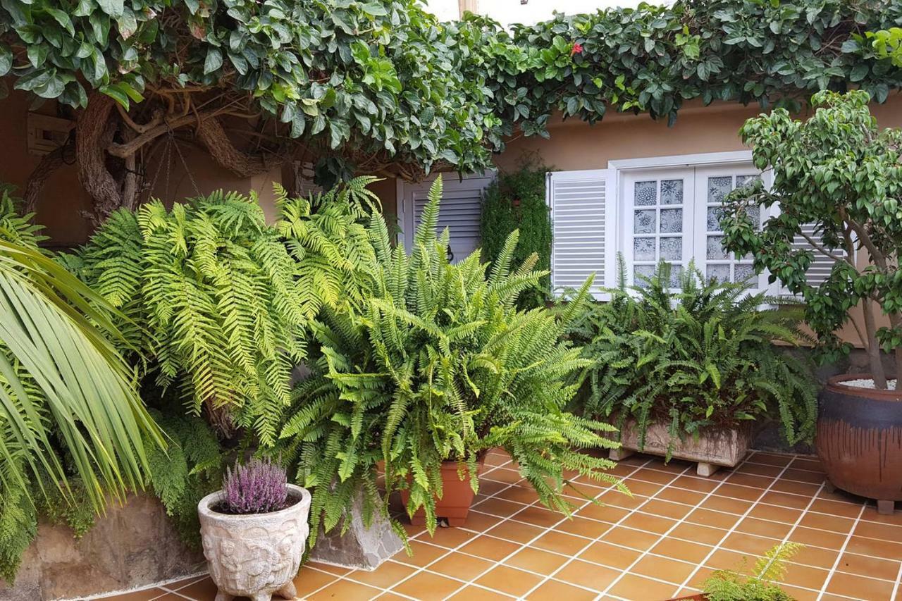 Villa Orotava Garden House Perfect For Families La Orotava Exterior foto